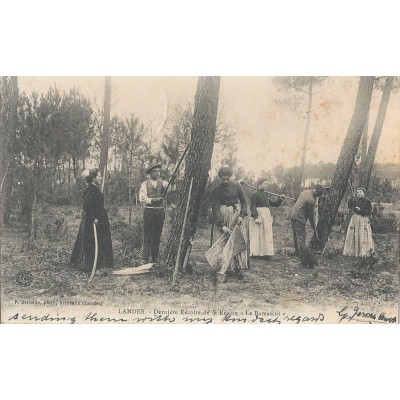 Landes - Dernière Récolte de la résine"le Barrascot" 1900